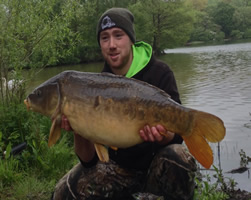 28lb